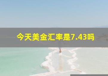 今天美金汇率是7.43吗