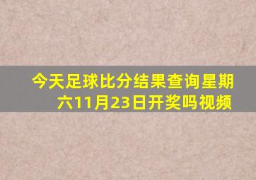 今天足球比分结果查询星期六11月23日开奖吗视频