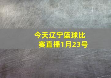 今天辽宁篮球比赛直播1月23号