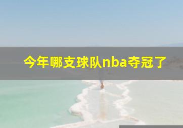 今年哪支球队nba夺冠了