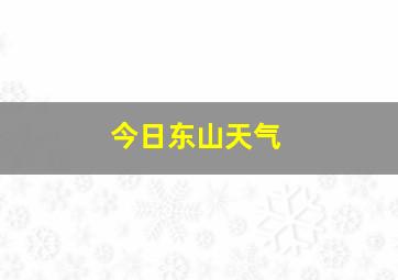 今日东山天气