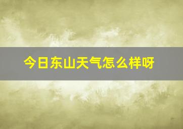 今日东山天气怎么样呀