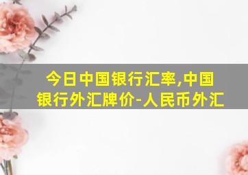 今日中国银行汇率,中国银行外汇牌价-人民币外汇