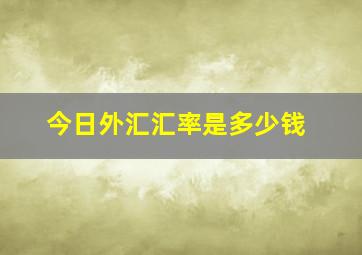 今日外汇汇率是多少钱