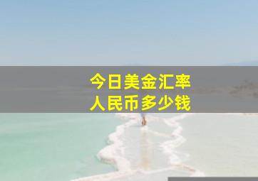 今日美金汇率人民币多少钱