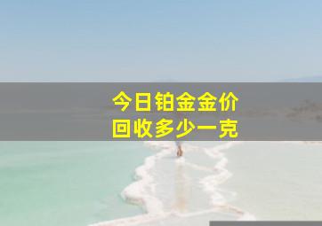 今日铂金金价回收多少一克