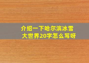 介绍一下哈尔滨冰雪大世界20字怎么写呀