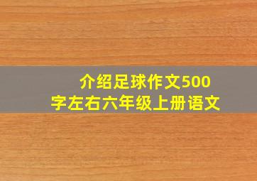 介绍足球作文500字左右六年级上册语文