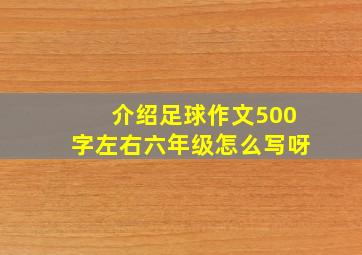 介绍足球作文500字左右六年级怎么写呀