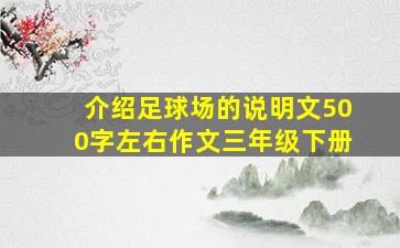 介绍足球场的说明文500字左右作文三年级下册