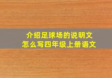 介绍足球场的说明文怎么写四年级上册语文