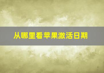 从哪里看苹果激活日期