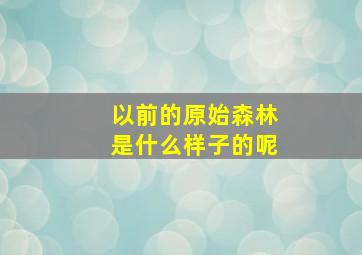 以前的原始森林是什么样子的呢