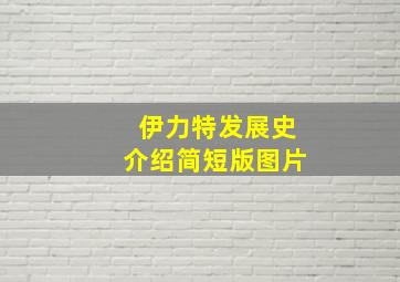 伊力特发展史介绍简短版图片