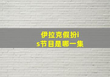 伊拉克假扮is节目是哪一集