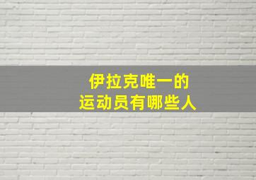 伊拉克唯一的运动员有哪些人