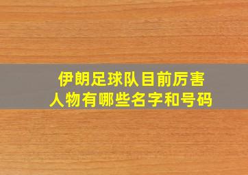 伊朗足球队目前厉害人物有哪些名字和号码