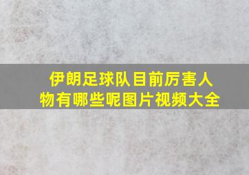 伊朗足球队目前厉害人物有哪些呢图片视频大全