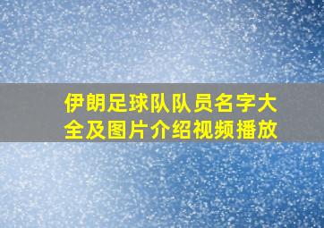 伊朗足球队队员名字大全及图片介绍视频播放