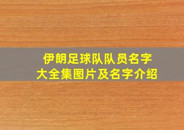 伊朗足球队队员名字大全集图片及名字介绍