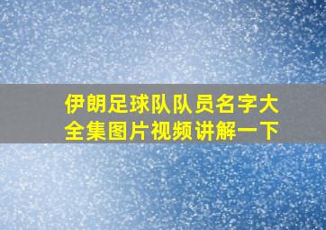 伊朗足球队队员名字大全集图片视频讲解一下