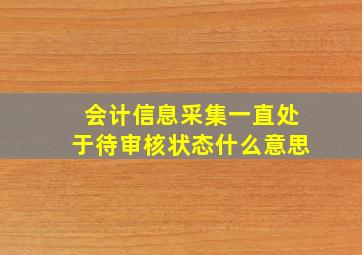 会计信息采集一直处于待审核状态什么意思