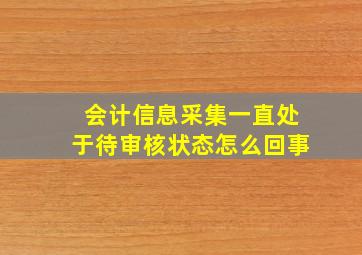 会计信息采集一直处于待审核状态怎么回事