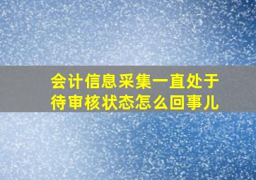 会计信息采集一直处于待审核状态怎么回事儿