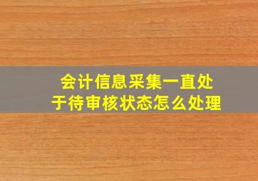 会计信息采集一直处于待审核状态怎么处理