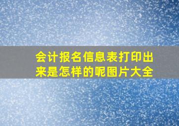 会计报名信息表打印出来是怎样的呢图片大全