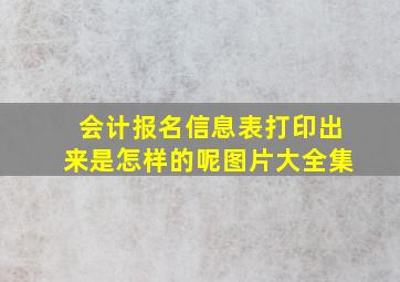 会计报名信息表打印出来是怎样的呢图片大全集