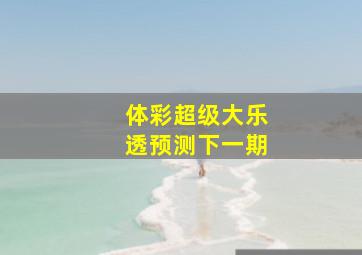 体彩超级大乐透预测下一期