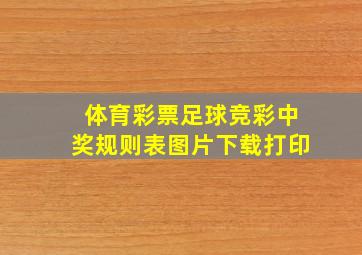 体育彩票足球竞彩中奖规则表图片下载打印