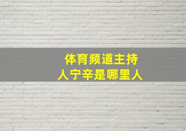 体育频道主持人宁辛是哪里人