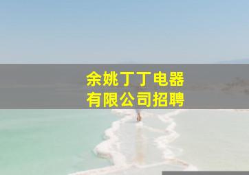 余姚丁丁电器有限公司招聘