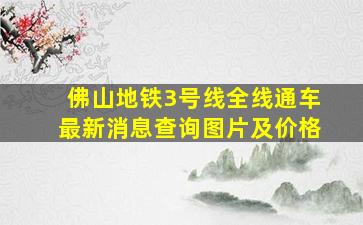 佛山地铁3号线全线通车最新消息查询图片及价格