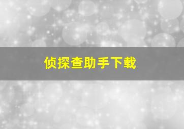 侦探查助手下载