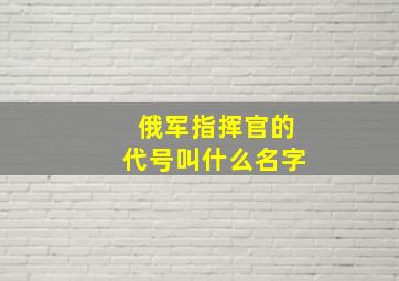 俄军指挥官的代号叫什么名字