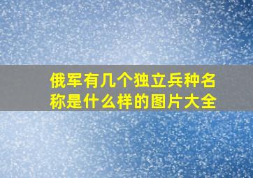 俄军有几个独立兵种名称是什么样的图片大全