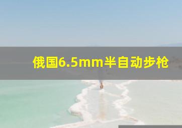 俄国6.5mm半自动步枪