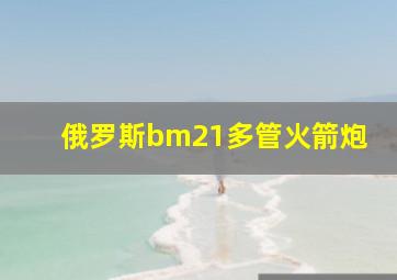 俄罗斯bm21多管火箭炮