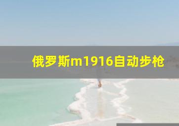 俄罗斯m1916自动步枪