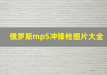 俄罗斯mp5冲锋枪图片大全