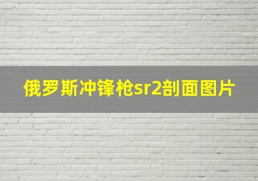 俄罗斯冲锋枪sr2剖面图片