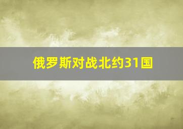 俄罗斯对战北约31国