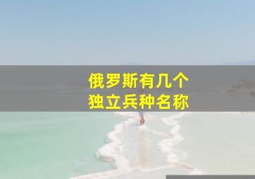 俄罗斯有几个独立兵种名称