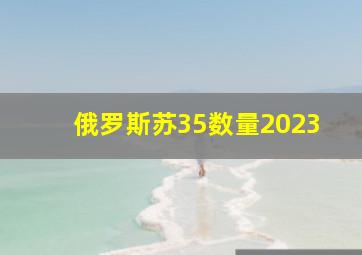 俄罗斯苏35数量2023