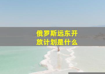 俄罗斯远东开放计划是什么