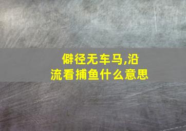 僻径无车马,沿流看捕鱼什么意思