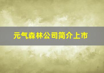 元气森林公司简介上市